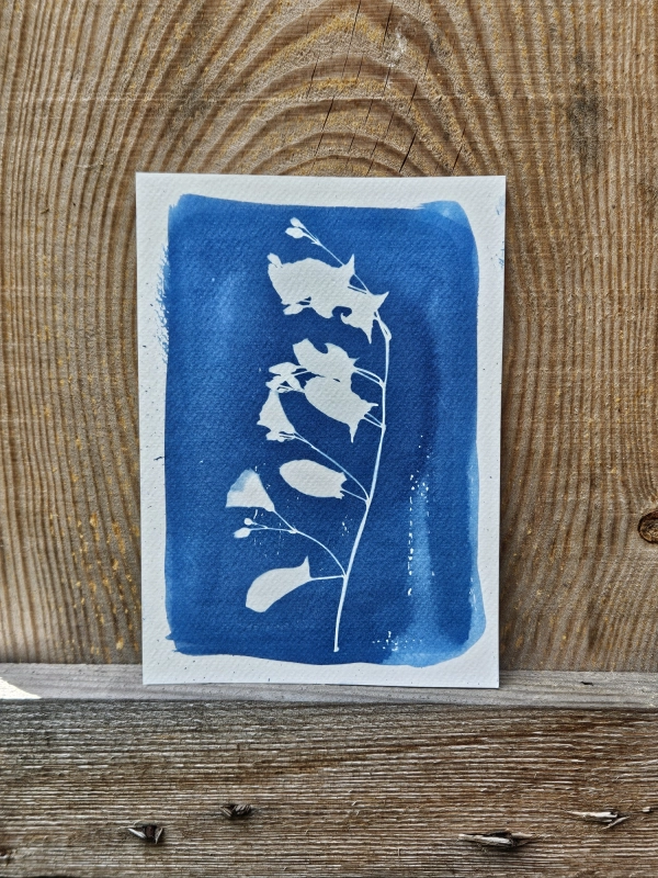 20260708_1425552.jpg